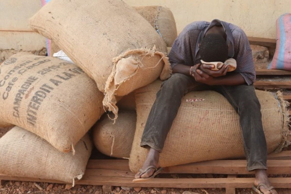 Filière cacao en Côte d’Ivoire : l’État annonce le rachat des stock pour apaiser la crise cacao Côte d’Ivoire