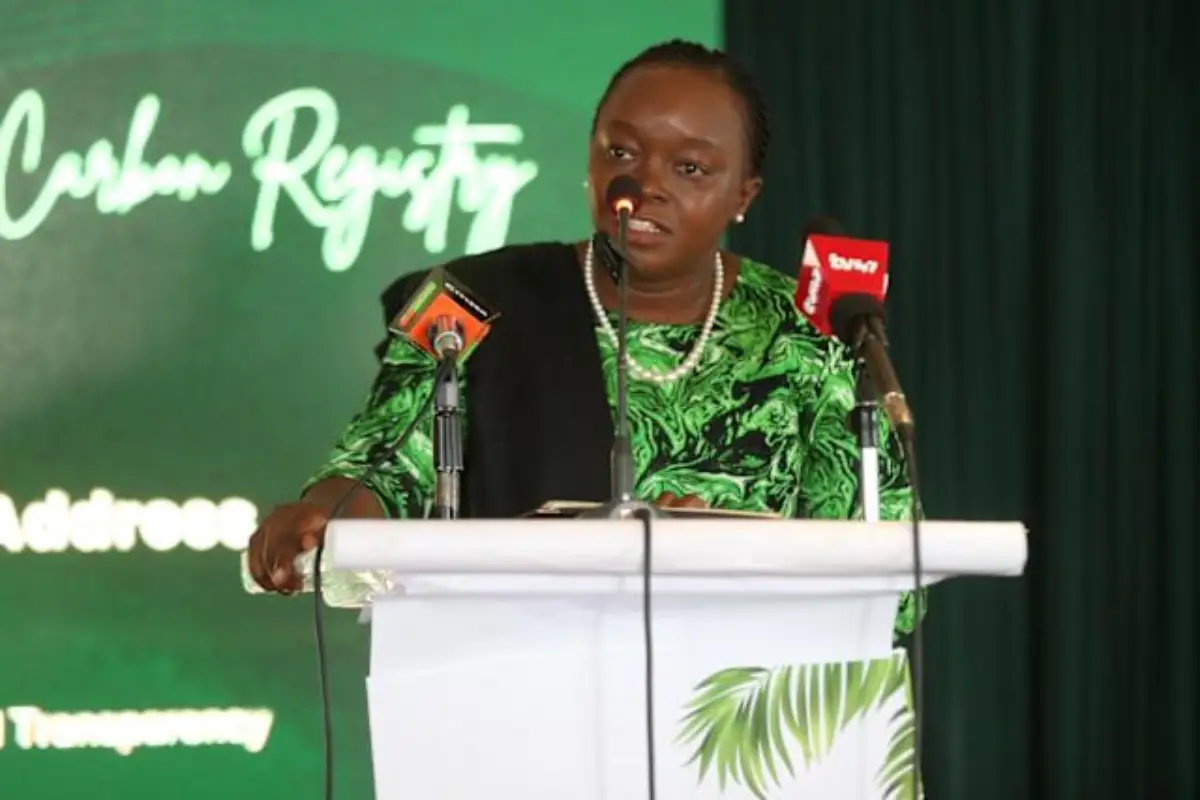 Nairobi restructure son marché carbone pour en faire un levier stratégique de souveraineté climatique Registre national du carbone Kenya
