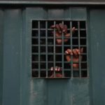 Nigeria : 37 suspects d’exploitation minière meurent en détention 37 mineurs présumés illégaux meurent en détention
