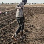 El Niño en Afrique : comment le continent se prépare au choc climatique El Niño en Afrique
