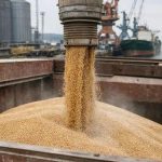 marché mondial du blé et pour l’Afrique